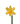 Daffodil